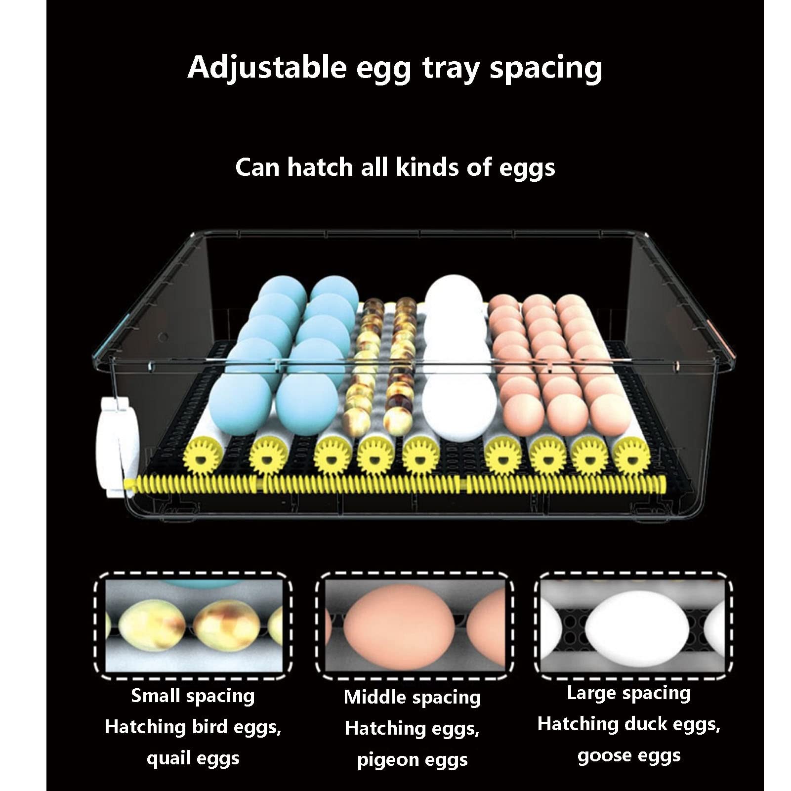 自動卵インキュベーター 56個用 デジタルディスプレイ 自動卵インキュベーター 56個用 デジタルディスプレイ